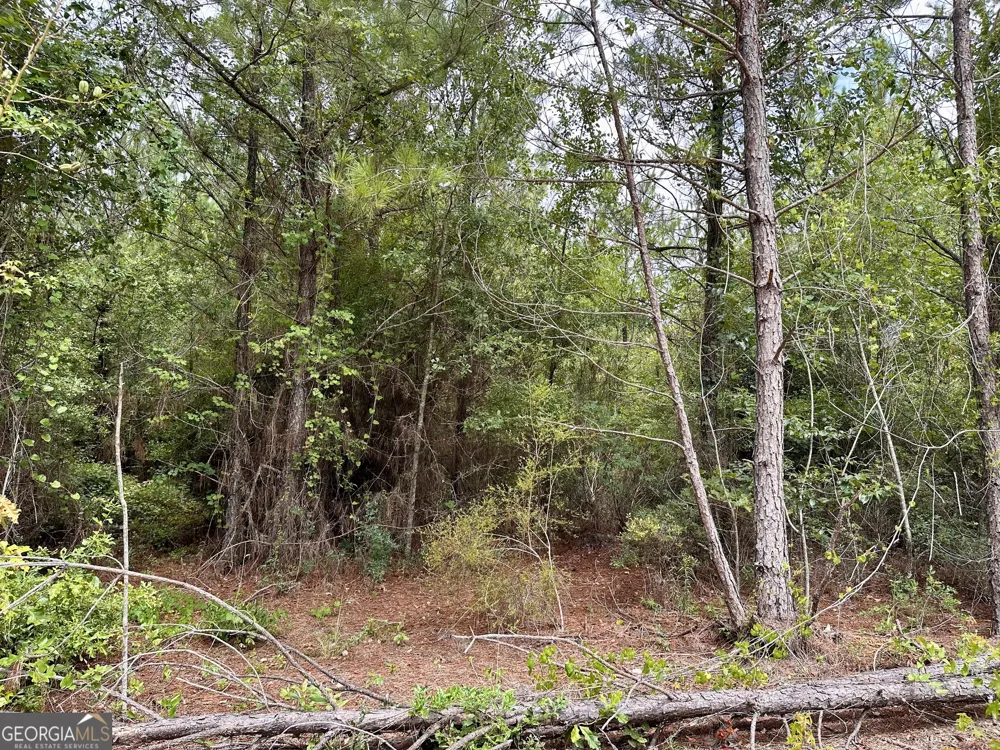 LOT B Rock Springs RD Dublin, GA 31021