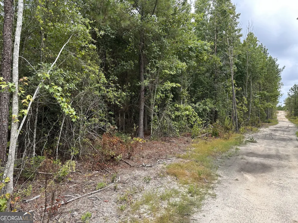 LOT B Rock Springs RD Dublin, GA 31021