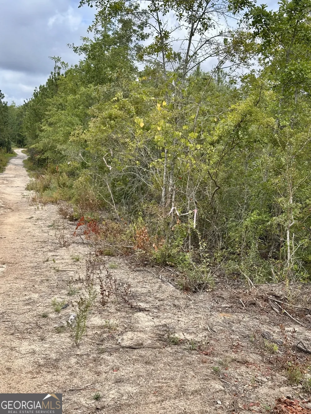 LOT B Rock Springs RD Dublin, GA 31021