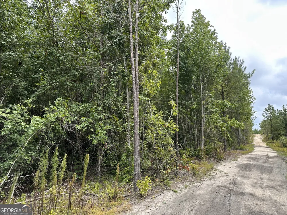 LOT B Rock Springs RD Dublin, GA 31021