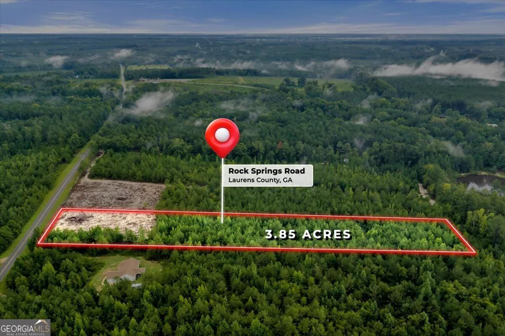 LOT B Rock Springs RD Dublin, GA 31021