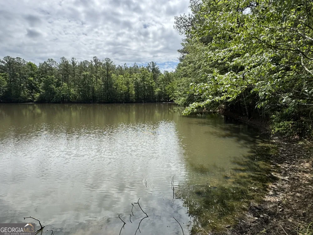 0 Flatwoods Road River Road & Colonel Dixon RD Elberton, GA 30635