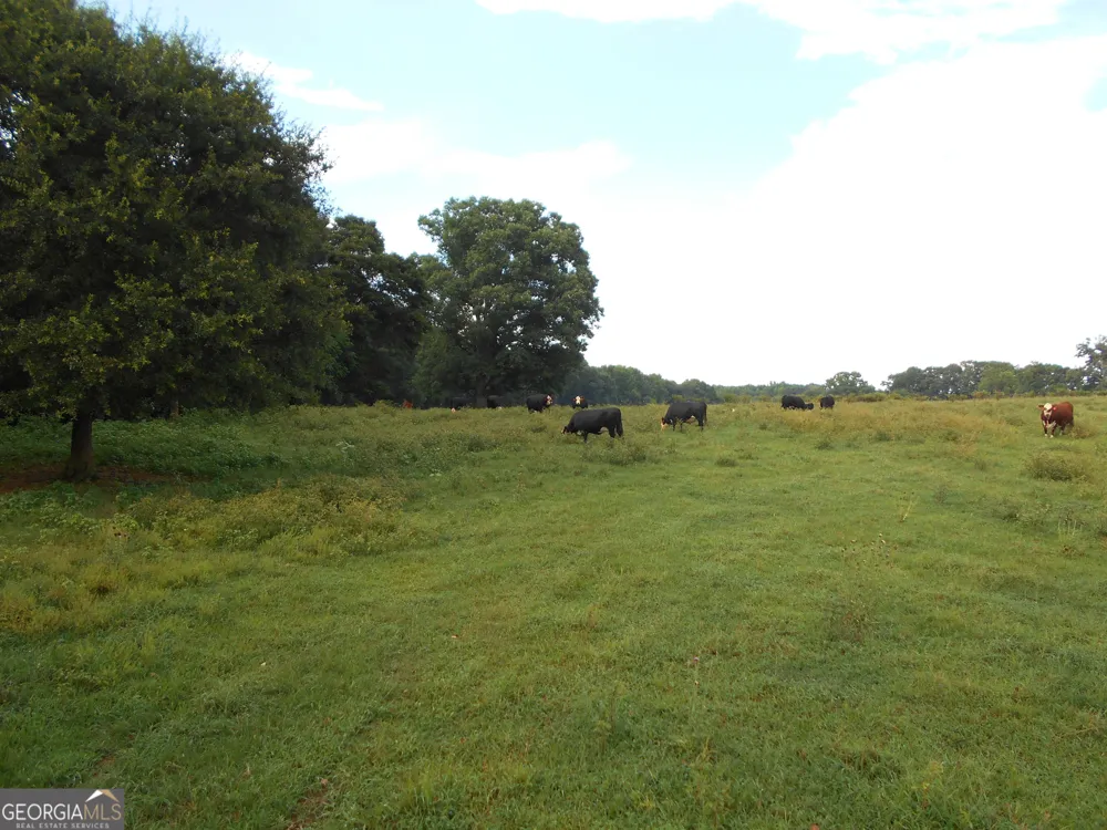 69 ACRES Elberton Highway Hartwell, GA 30643