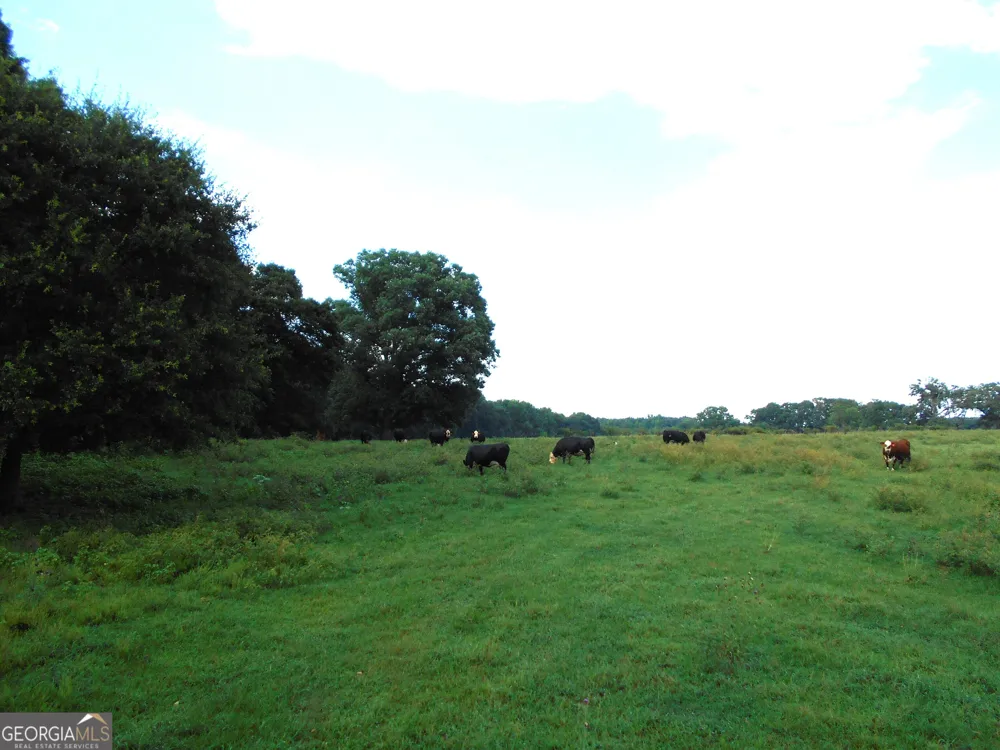 69 ACRES Elberton Highway Hartwell, GA 30643
