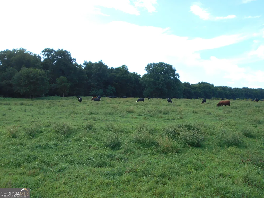 69 ACRES Elberton Highway Hartwell, GA 30643