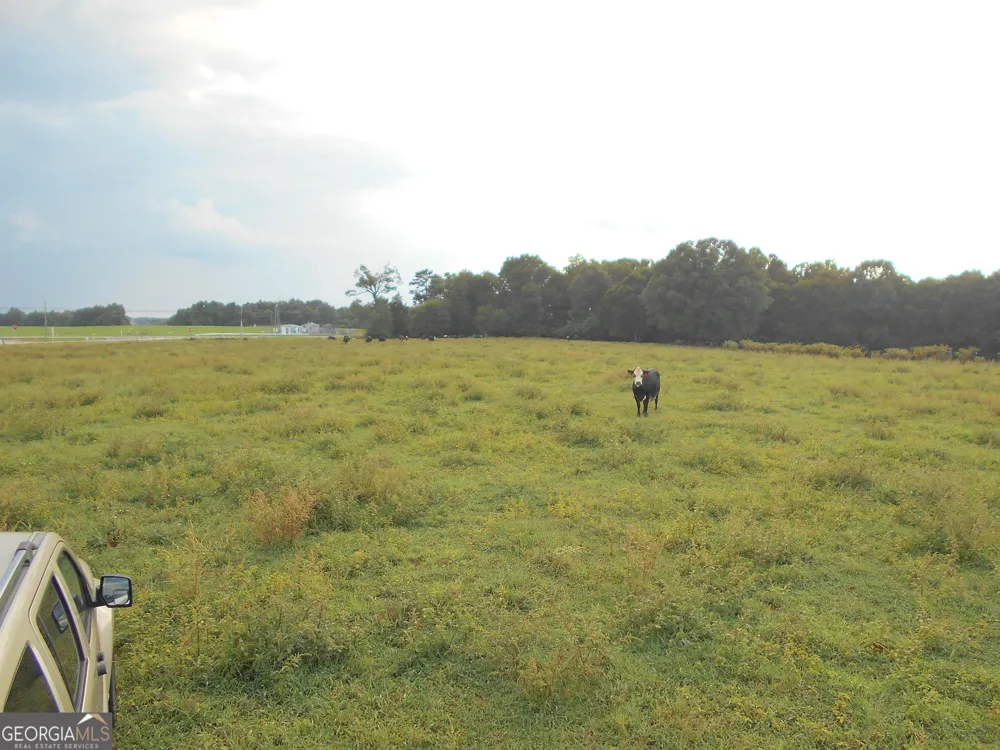 69 ACRES Elberton Highway Hartwell, GA 30643