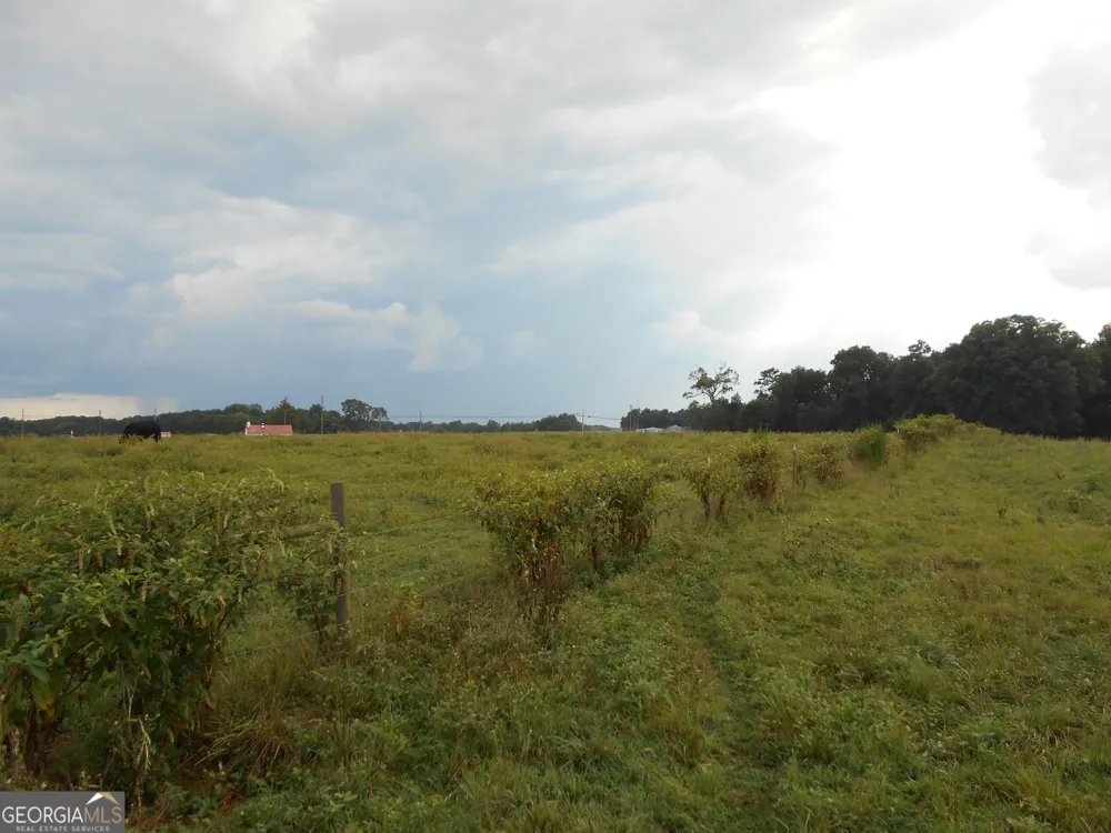 69 ACRES Elberton Highway Hartwell, GA 30643