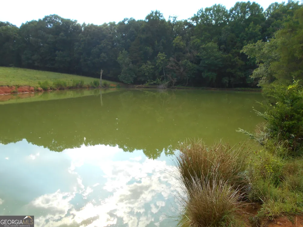 69 ACRES Elberton Highway Hartwell, GA 30643