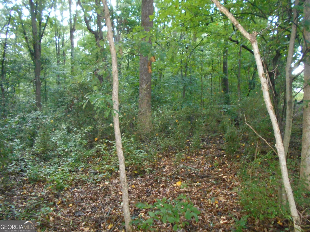 69 ACRES Elberton Highway Hartwell, GA 30643