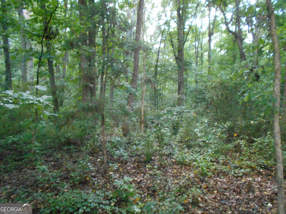 69 ACRES Elberton Highway Hartwell, GA 30643