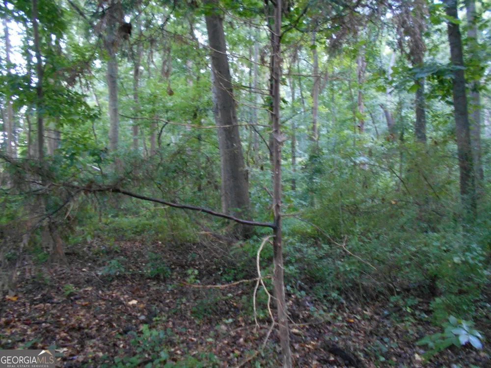 69 ACRES Elberton Highway Hartwell, GA 30643