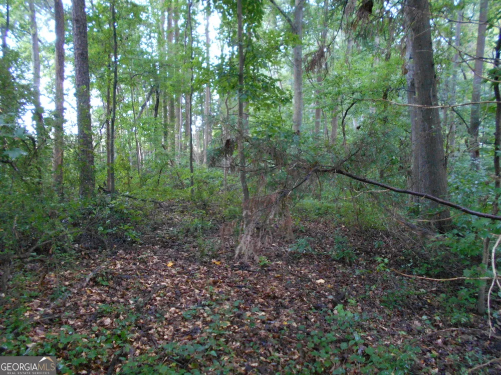 69 ACRES Elberton Highway Hartwell, GA 30643