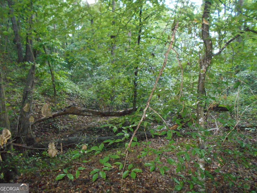 69 ACRES Elberton Highway Hartwell, GA 30643