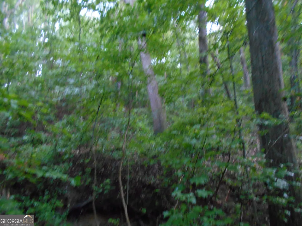 69 ACRES Elberton Highway Hartwell, GA 30643