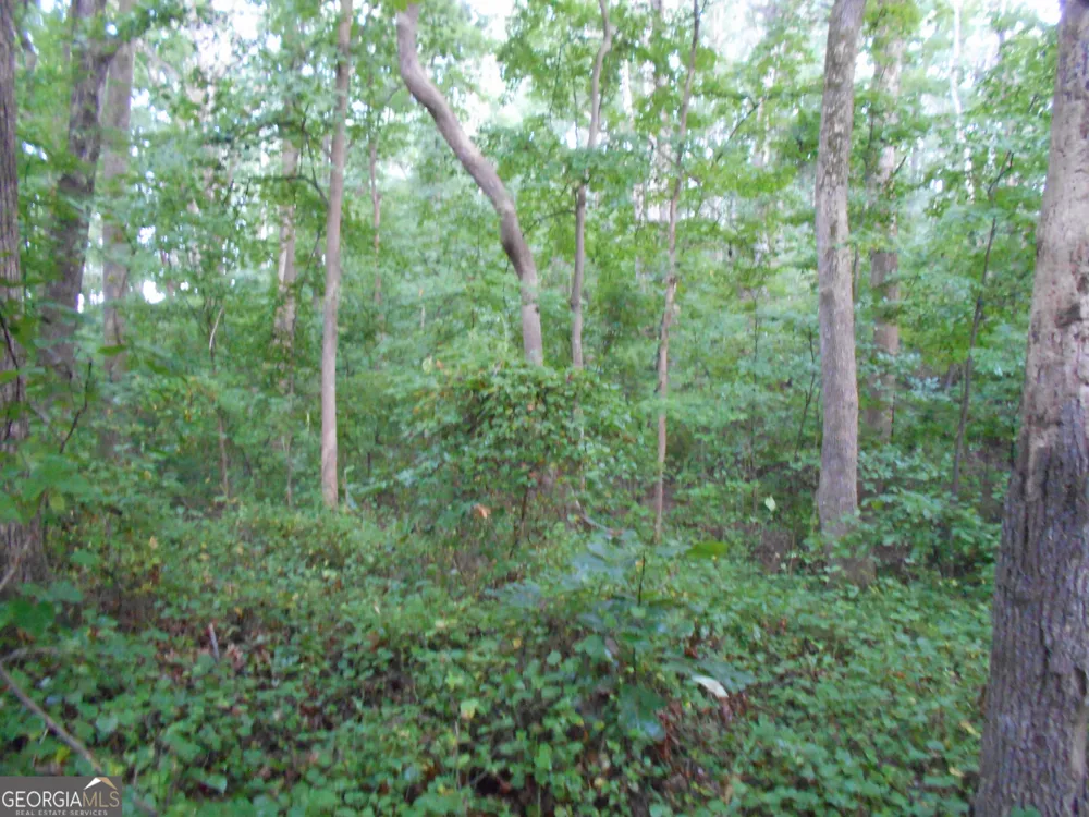 69 ACRES Elberton Highway Hartwell, GA 30643