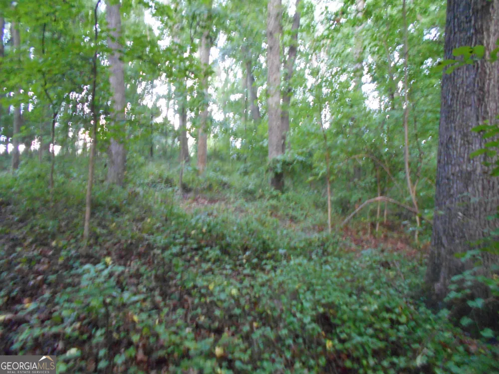 69 ACRES Elberton Highway Hartwell, GA 30643