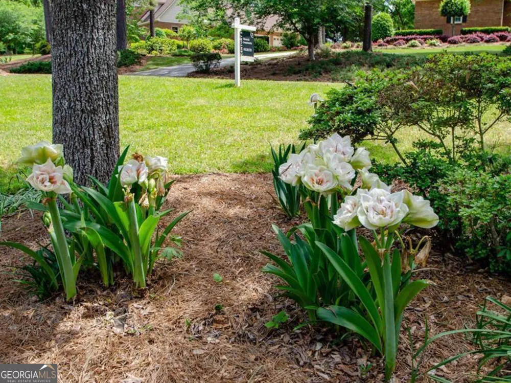 110 Holly DR Warner Robins, GA 31088