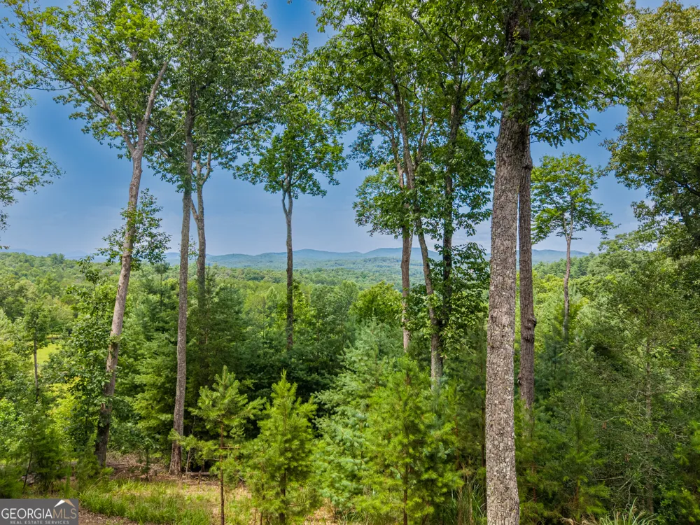 353 Robinson Thomas RD Morganton, GA 30560
