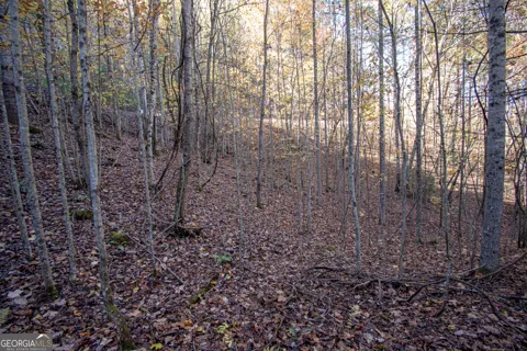 LOT 66 Choctaw ridge TRL