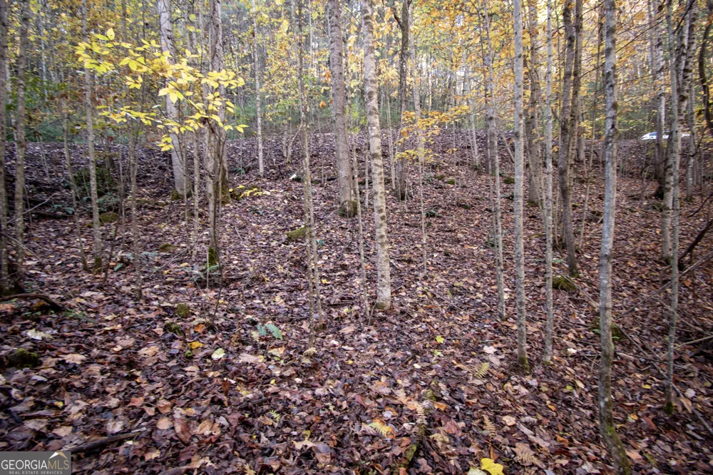 LOT 66 Choctaw ridge TRL Murphy, NC 28906