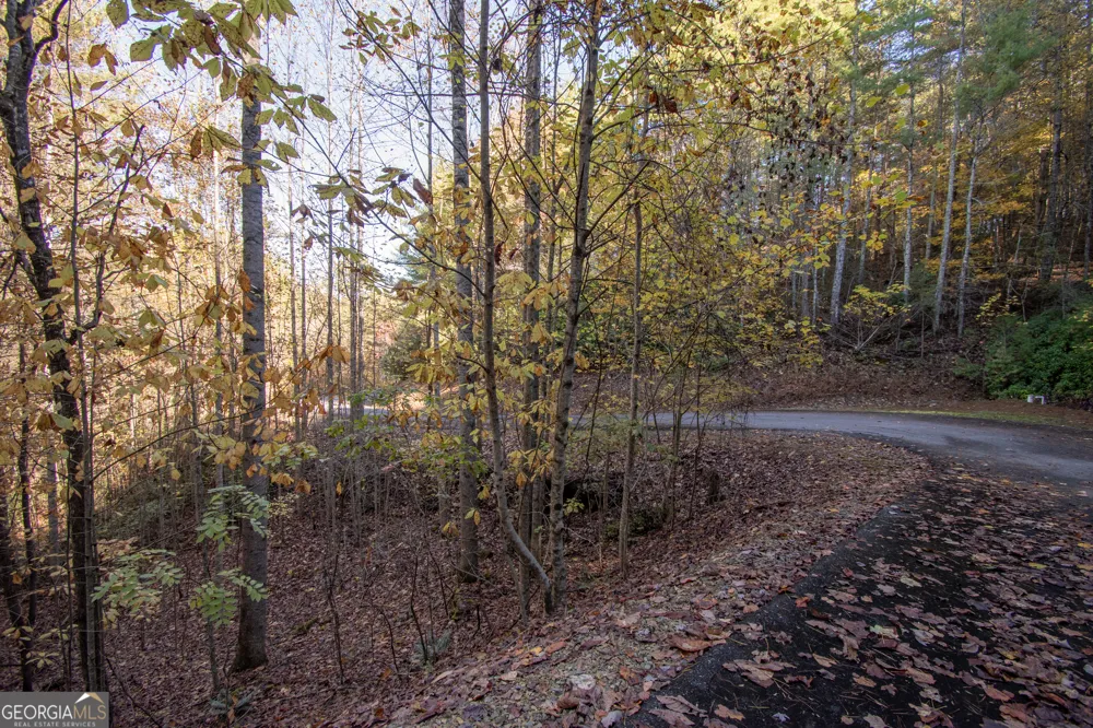LOT 66 Choctaw ridge TRL Murphy, NC 28906