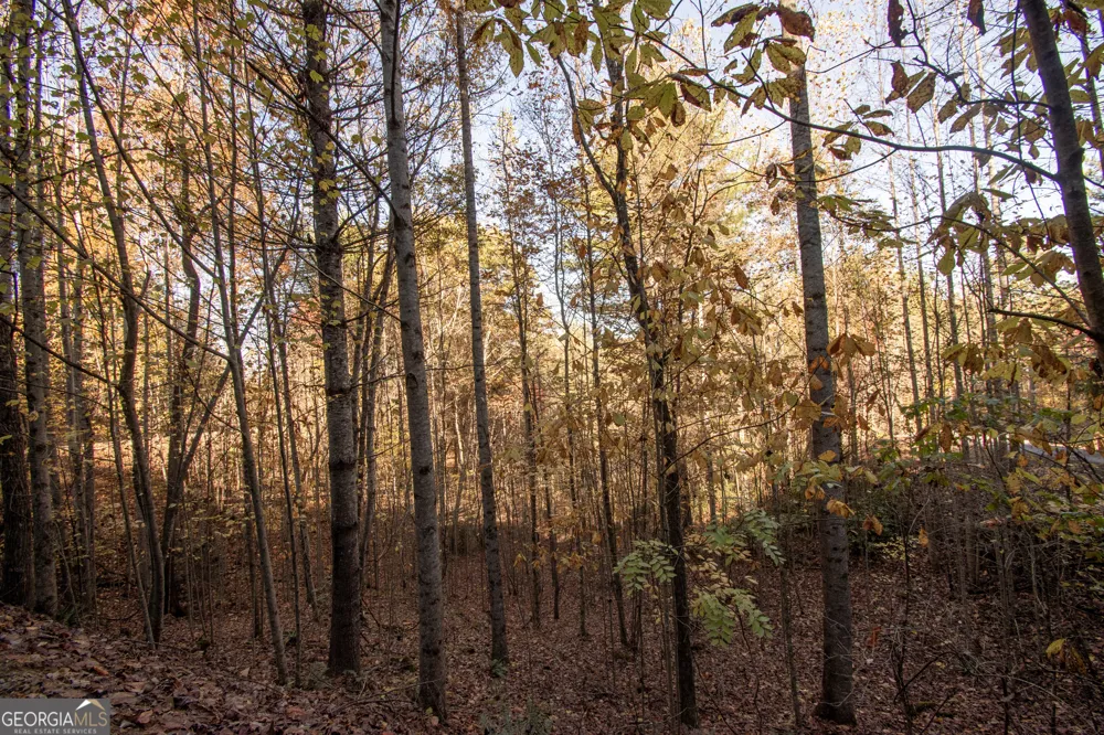 LOT 66 Choctaw ridge TRL Murphy, NC 28906