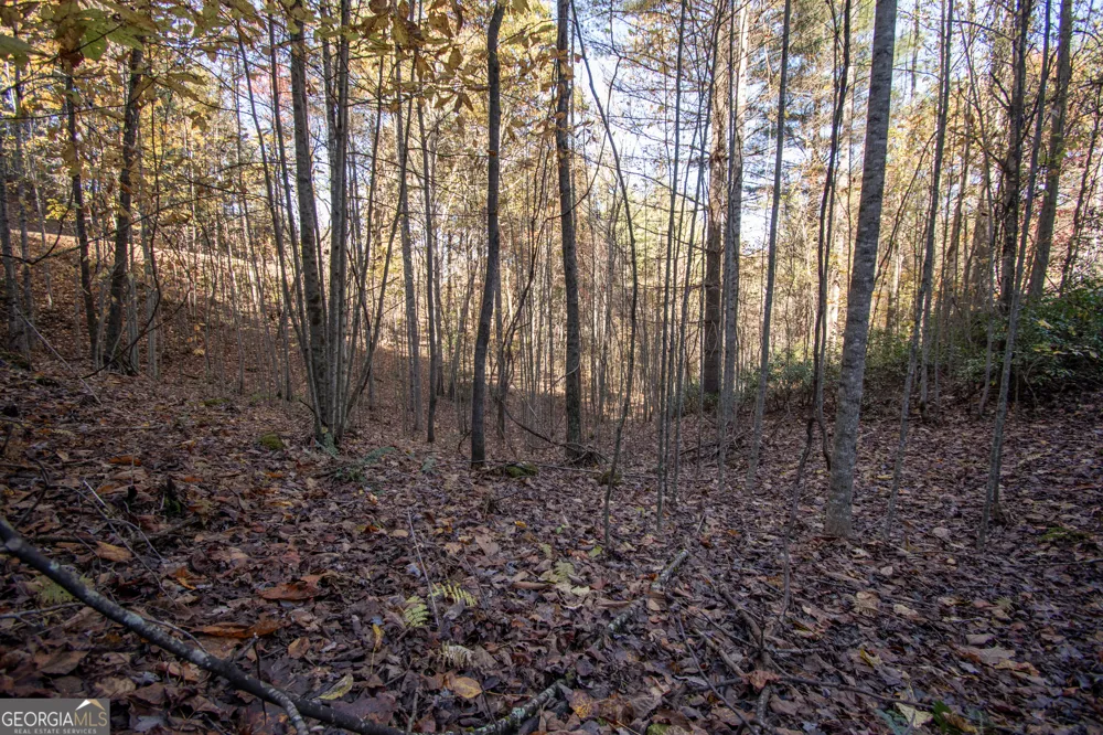 LOT 66 Choctaw ridge TRL Murphy, NC 28906