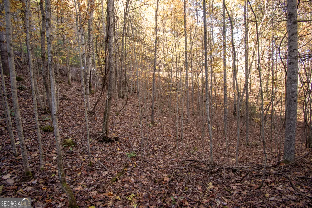 LOT 66 Choctaw ridge TRL Murphy, NC 28906