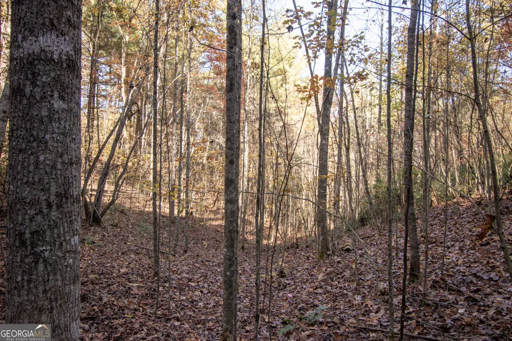 LOT 66 Choctaw ridge TRL Murphy, NC 28906
