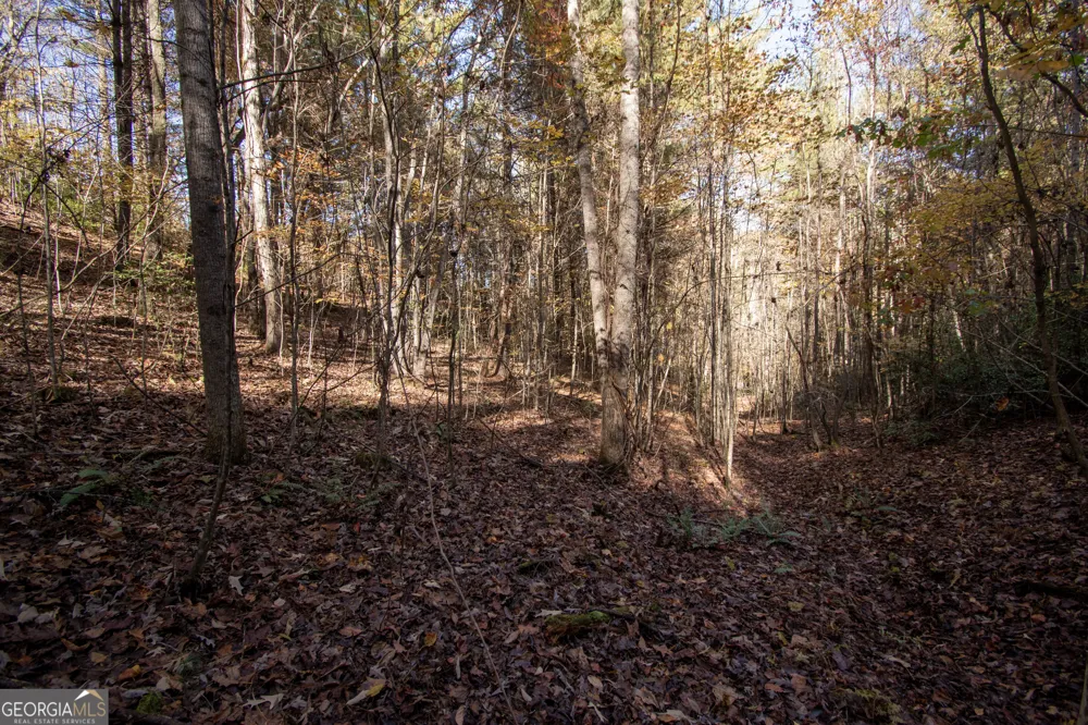 LOT 66 Choctaw ridge TRL Murphy, NC 28906