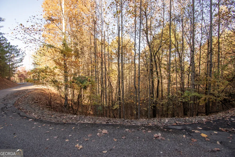 LOT 66 Choctaw ridge TRL Murphy, NC 28906