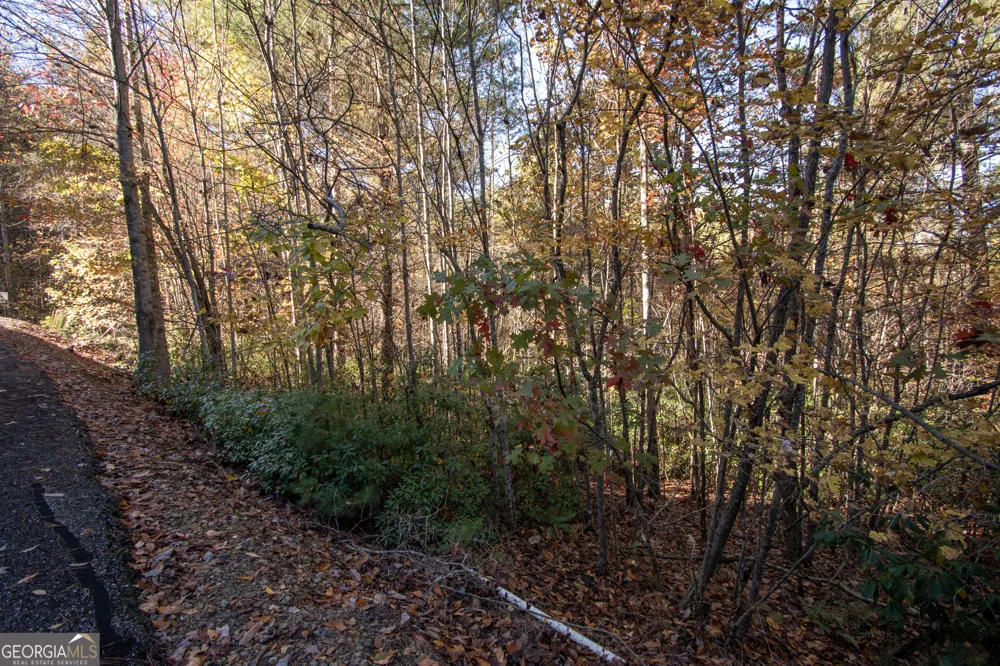 LOT 66 Choctaw ridge TRL Murphy, NC 28906