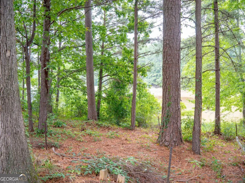 1860 Pinehurst View DR Grayson, GA 30017