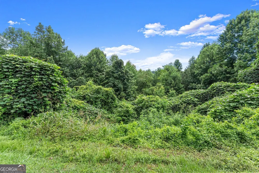 0 Meadow Crest DR Cleveland, GA 30528