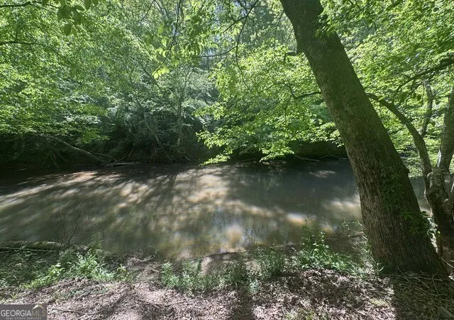 597 Meadow Brook LN Royston, GA 30662