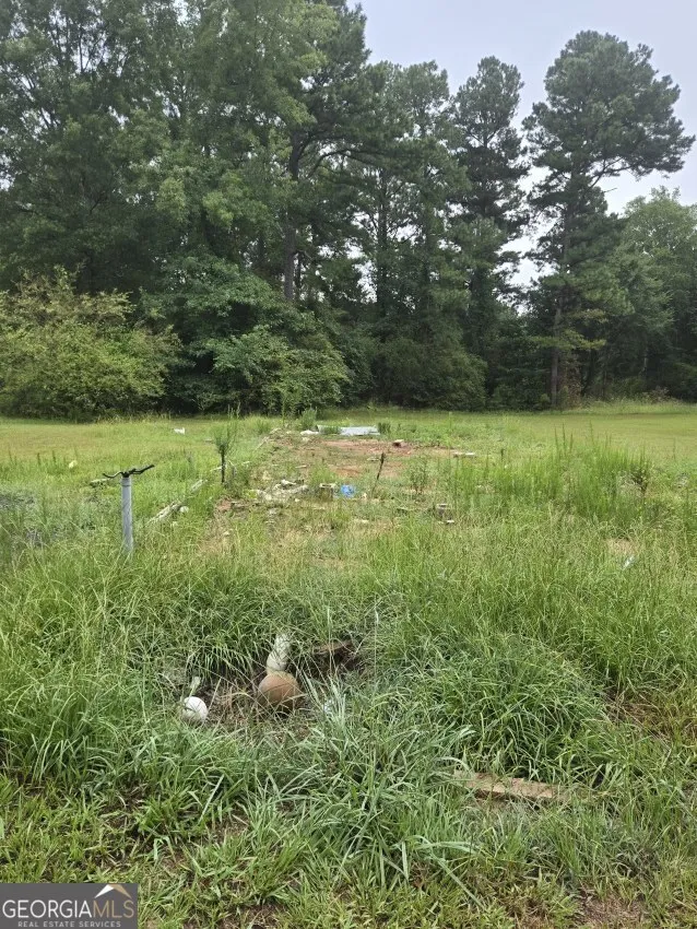 100 Hunters Ridge DR Monticello, GA 31064