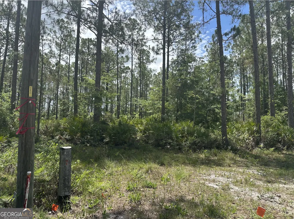 57 Lakeview DR Folkston, GA 31537