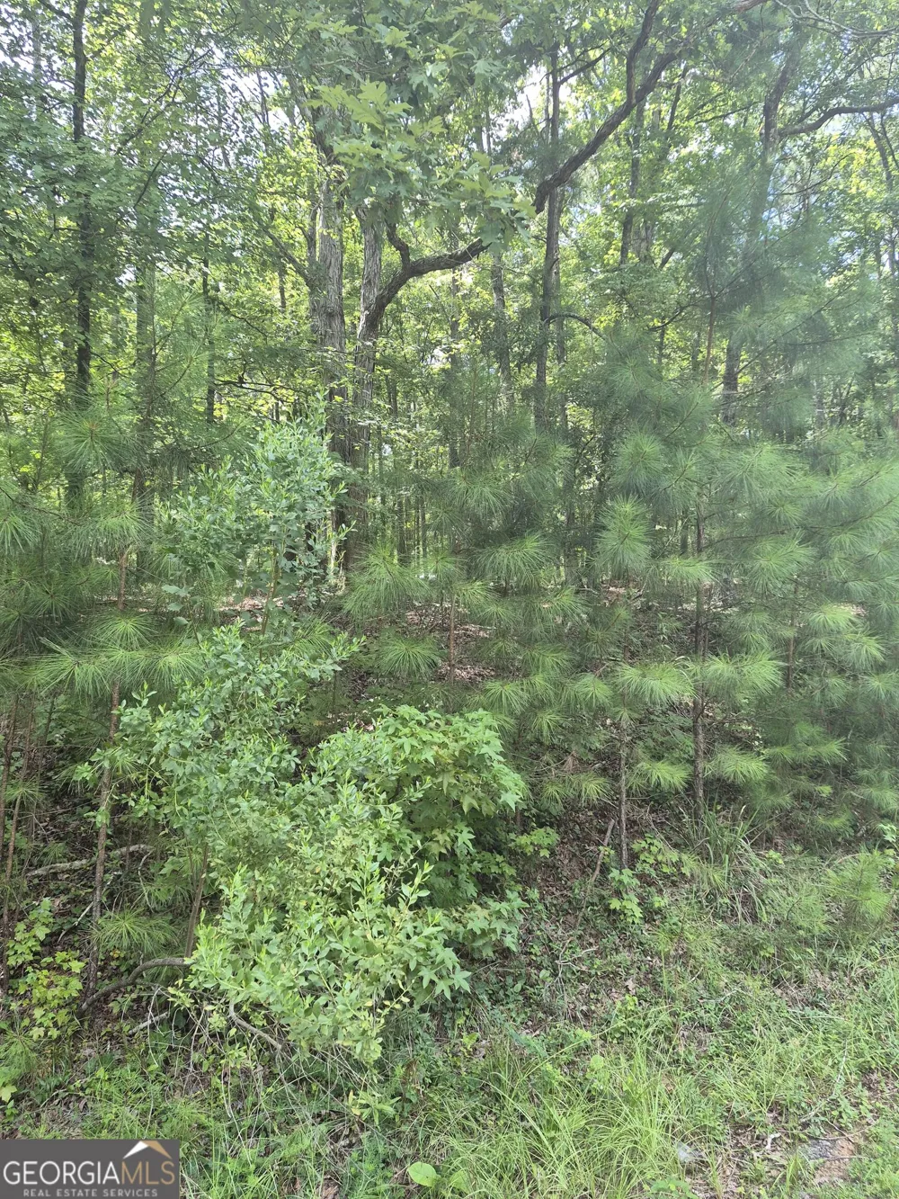 441 S Steel Bridge RD Eatonton, GA 31024