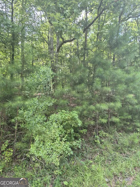 441 S Steel Bridge RD