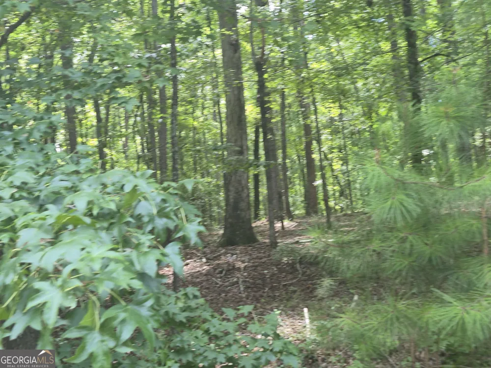 441 S Steel Bridge RD Eatonton, GA 31024