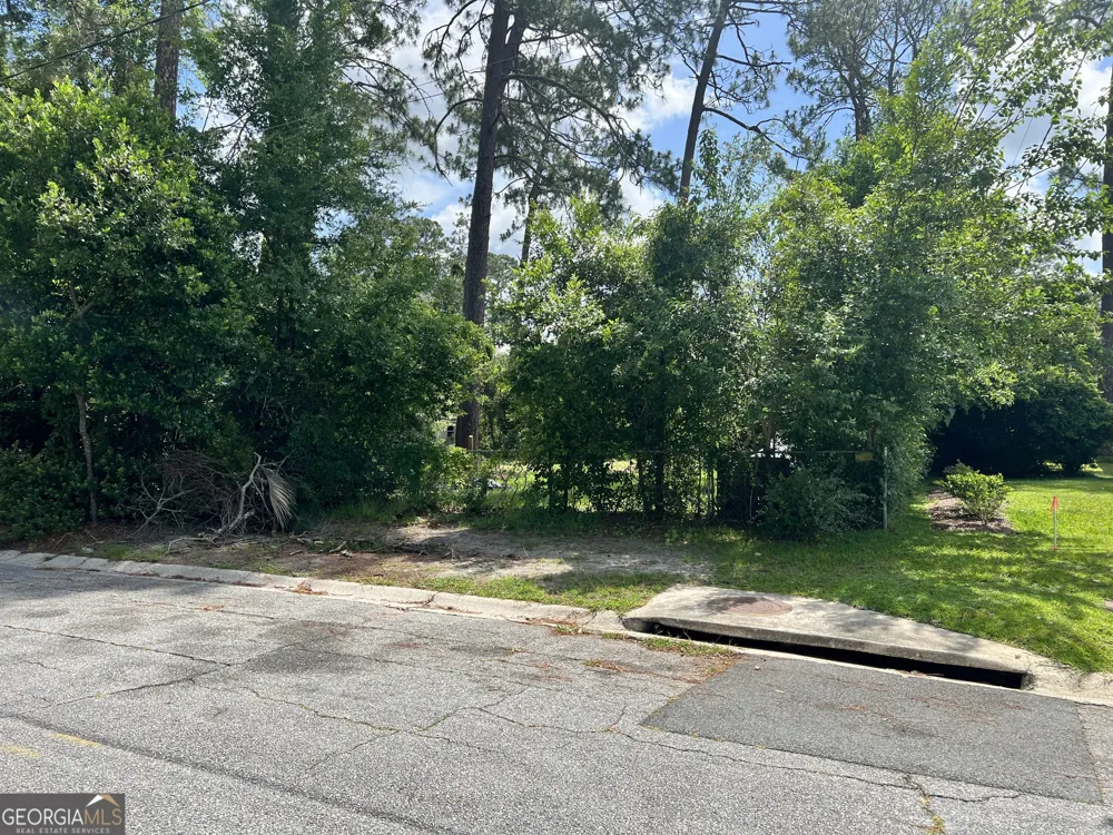 0 St Mary's AVE Waycross, GA 31501