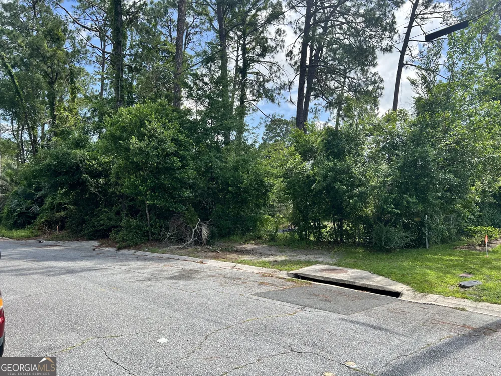 0 St Mary's AVE Waycross, GA 31501