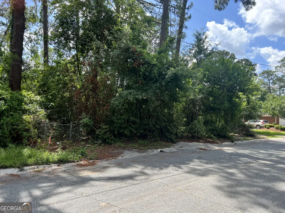 0 St Mary's AVE Waycross, GA 31501