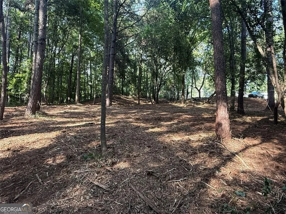 299 Plaza DR Monroe, GA 30655