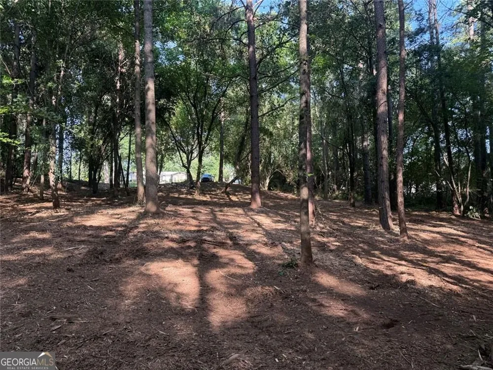 299 Plaza DR Monroe, GA 30655