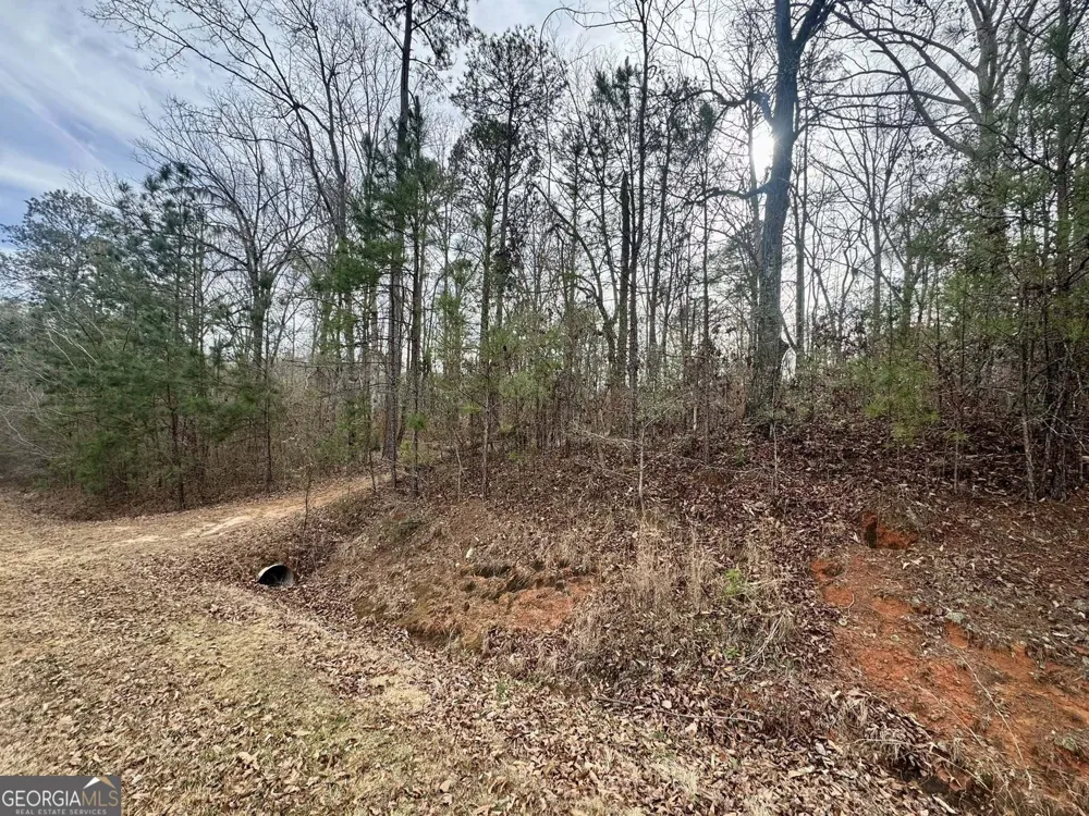 0 Hatchee Ridge RD Dublin, GA 31021