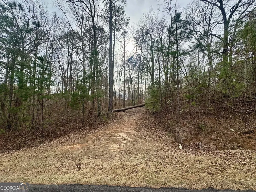 0 Hatchee Ridge RD Dublin, GA 31021