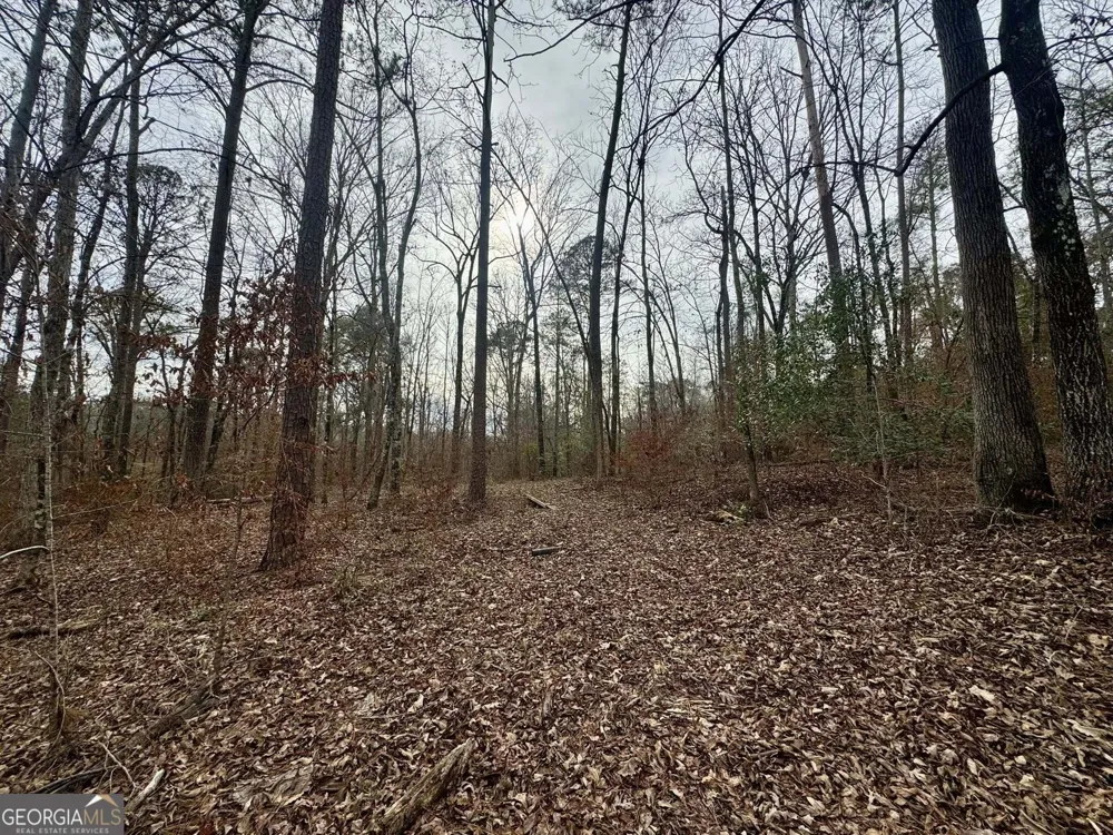 0 Hatchee Ridge RD Dublin, GA 31021