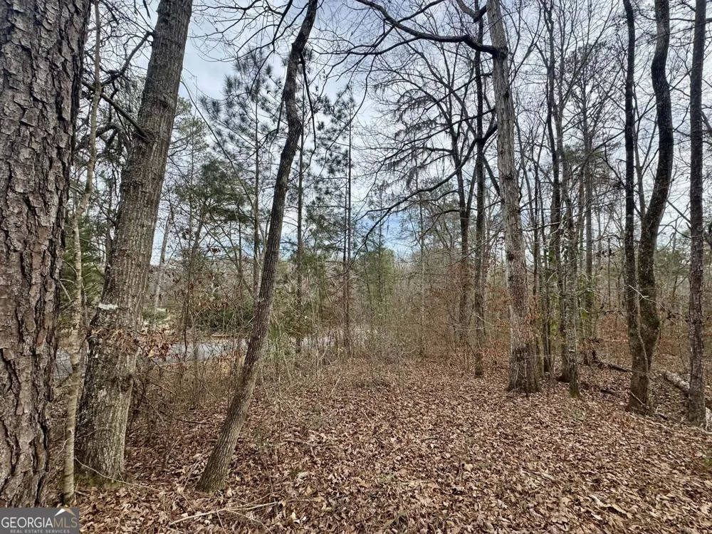 0 Hatchee Ridge RD Dublin, GA 31021