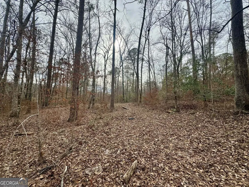 0 Hatchee Ridge RD Dublin, GA 31021